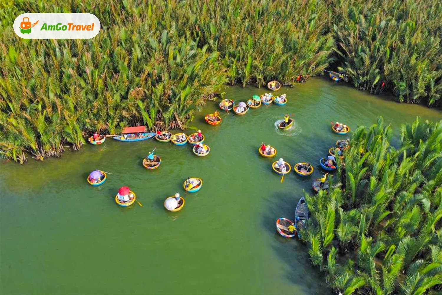 Aerial view of basket boats in the Cam Thanh coconut jungle