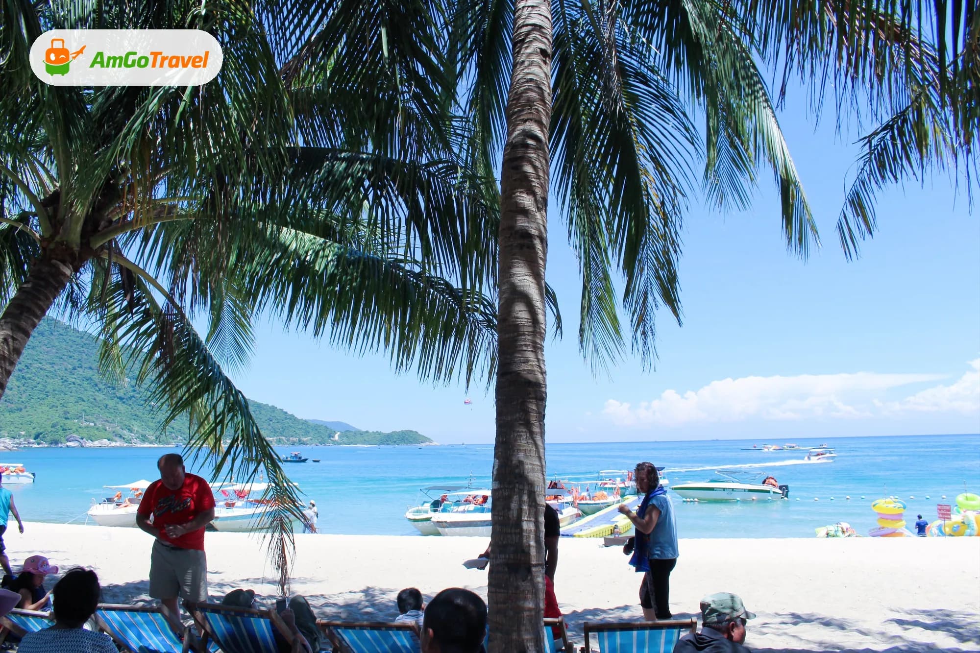 Palm trees on white sand beach with boats