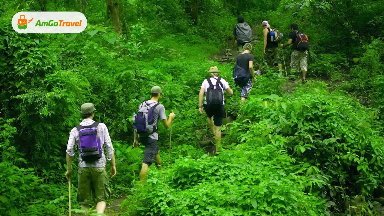 Hikers trekking through dense green jungle trail