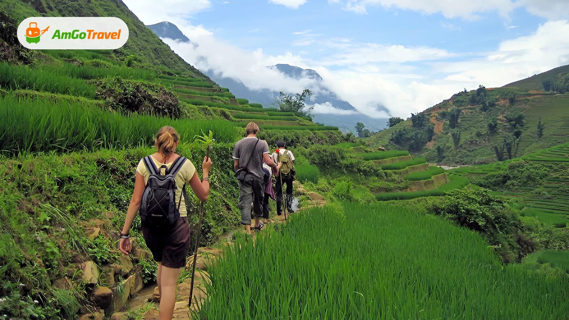 Trekkers walking path through green Sapa rice terraces
