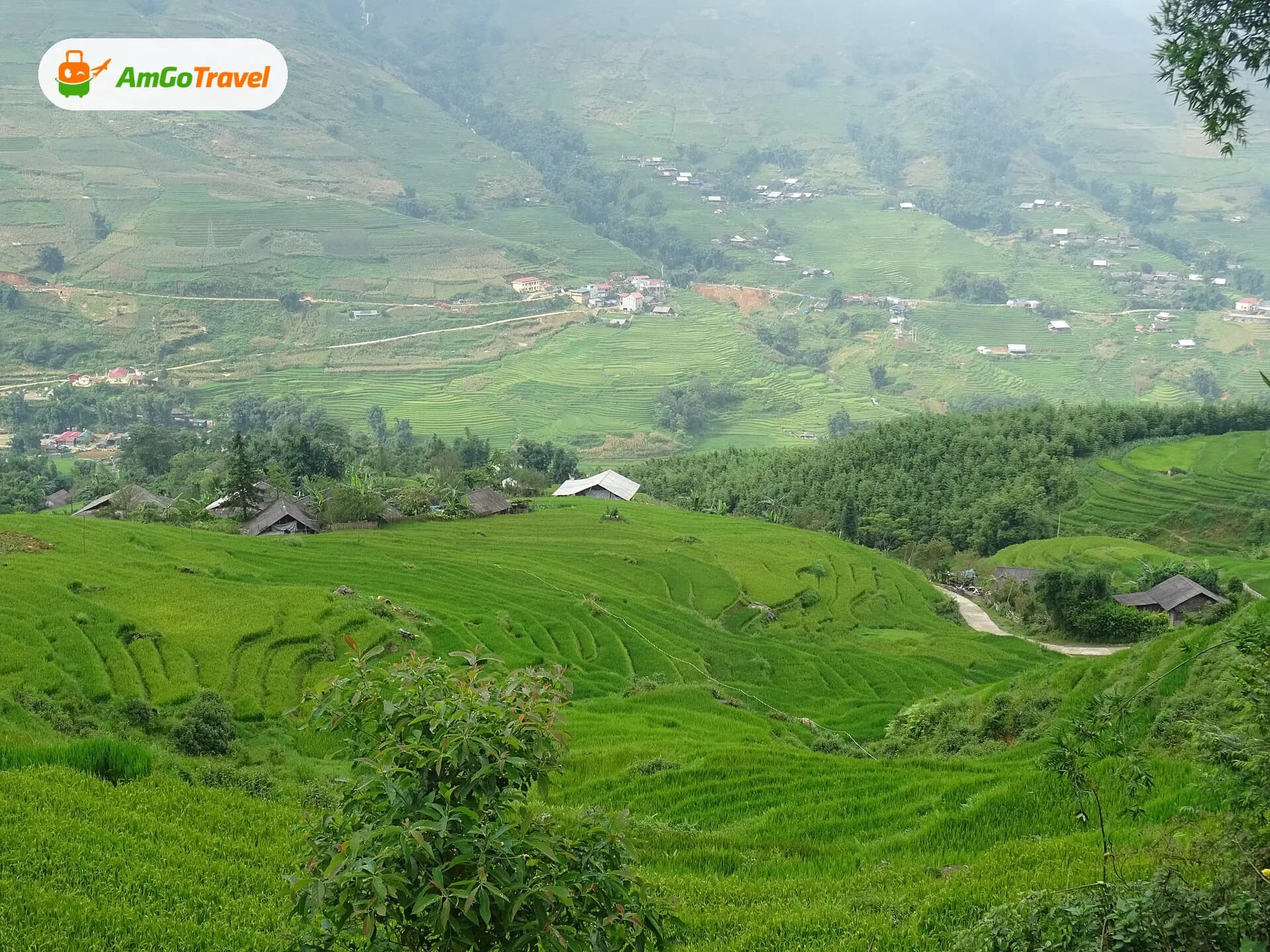 Terraced rice fields in the Muong Hoa Valley, Sapa