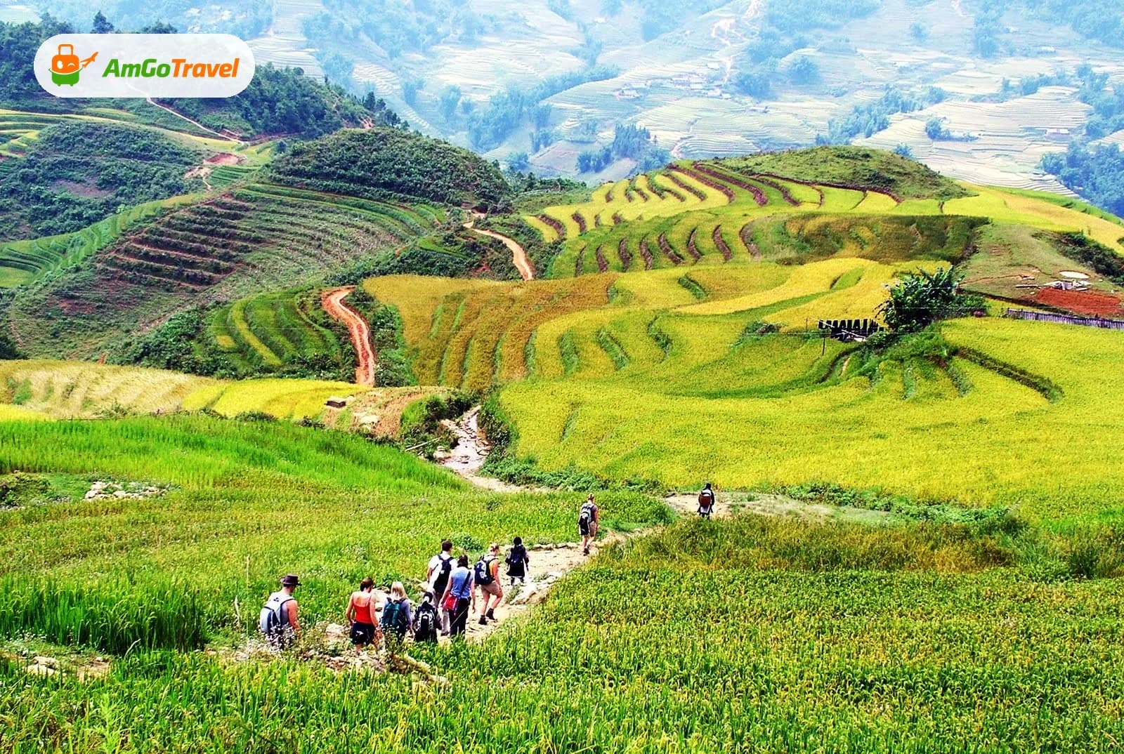 Trekkers walking among bright green Sapa rice terraces